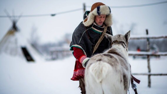 Ein Mann in Sámi-Tracht steht bei einem Rentier © NDR 