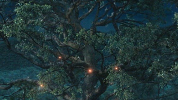 Ein Baum in der Savanne - Bild zum Trailer zu "Mufasa" dem Disney-Film © Disney 2024 