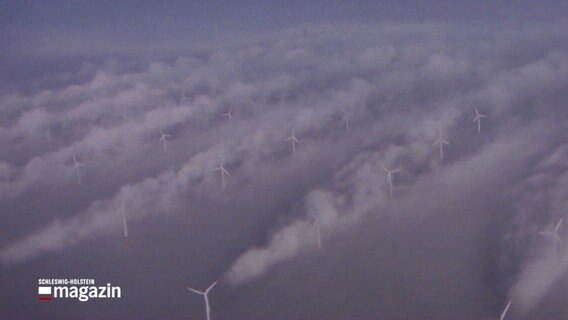 Eine Luftbildaufnahme zeigt Windräder auf in einem Offshore-Windpark in der Nordsee © NDR Foto: NDR Screenshot