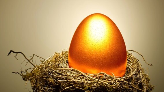 Orangefarbenes Ei in einem Nest. © imago/Science Photo Library 